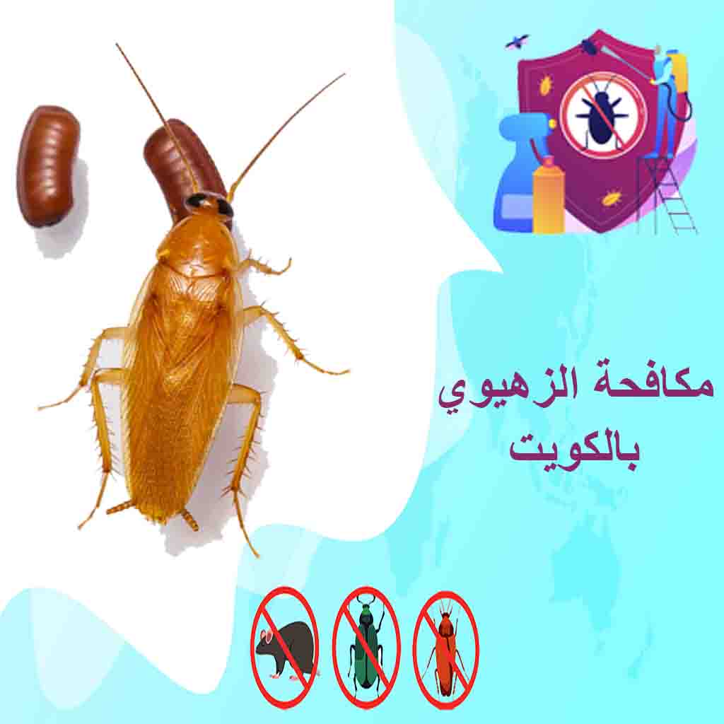 شركة مكافحة الزهيوي بالكويت