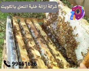 شركة ازالة خلية النحل بالكويت