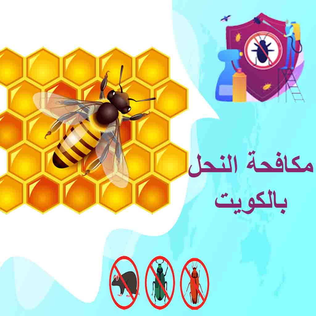 مكافحة النحل بالكويت