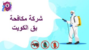 شركة مكافحة بق الكويت