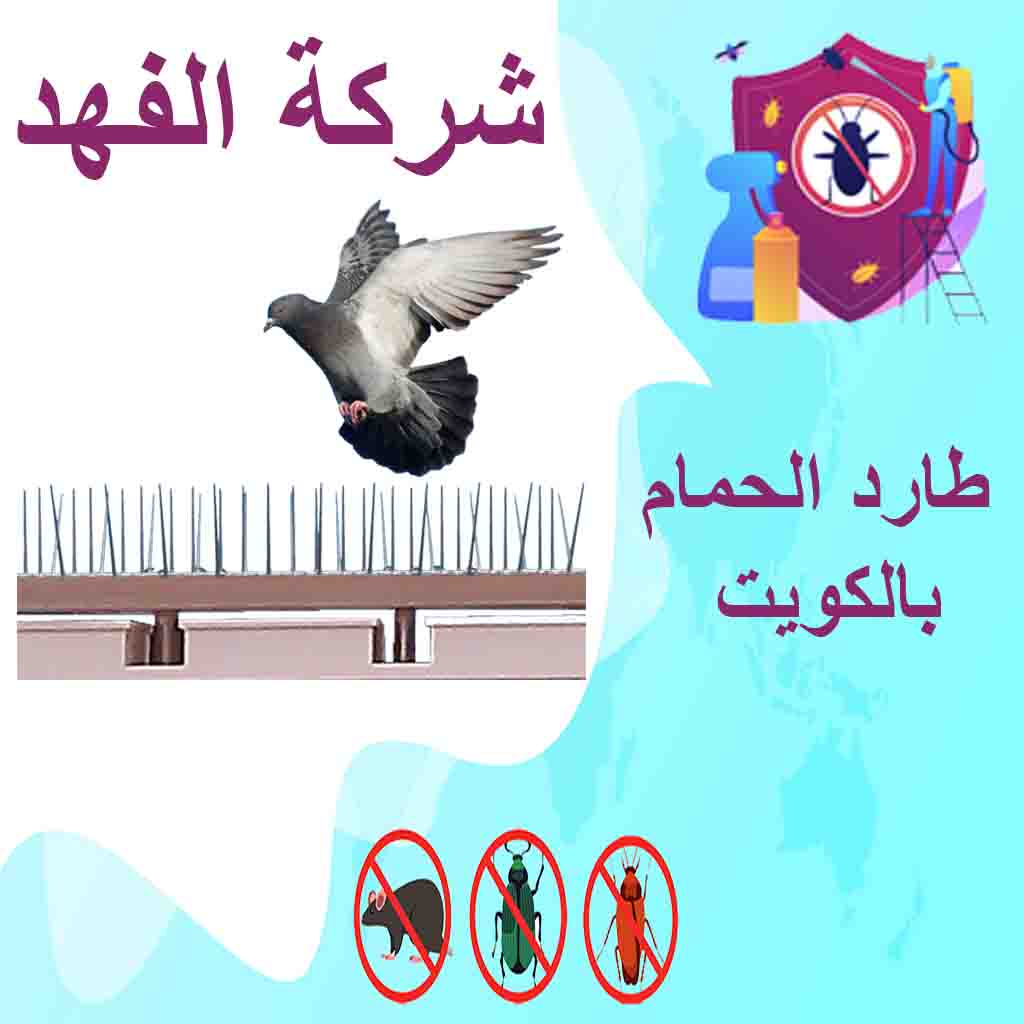 شركة طارد الحمام بالكويت