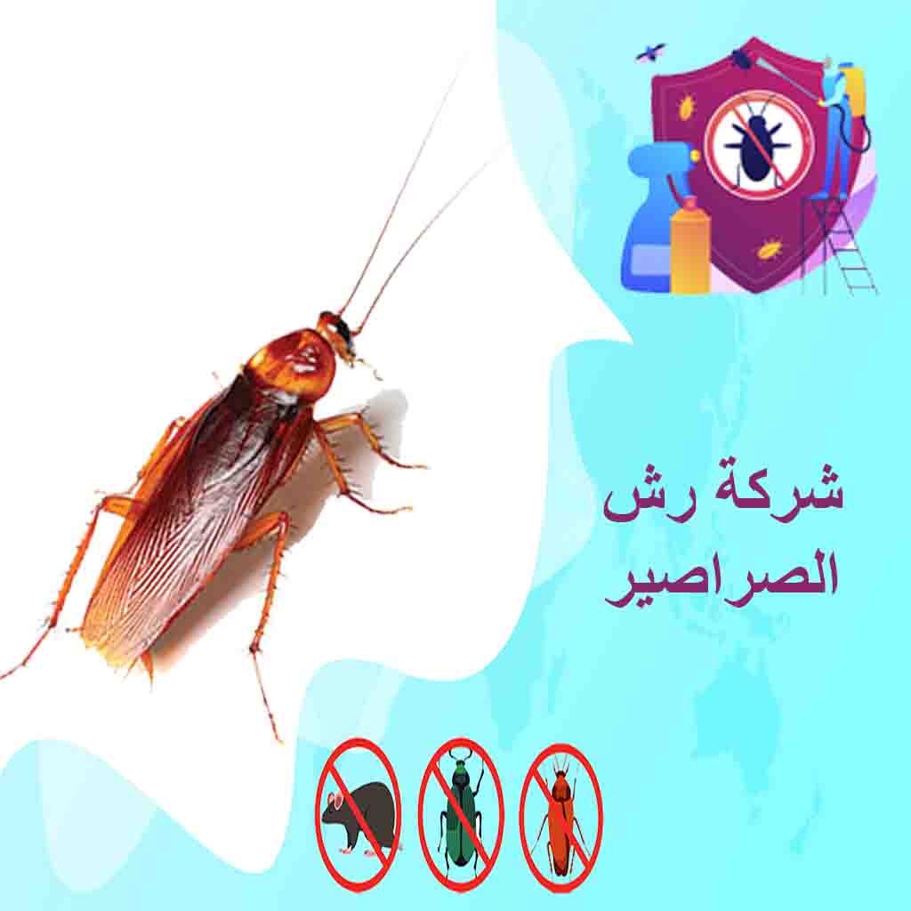 شركة رش الصراصير