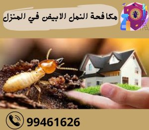 مكافحة النمل في المنزل بالكويت