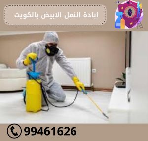 شركة ابادة النمل الابيض بالكويت