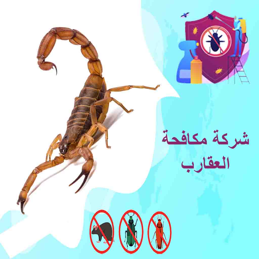 شركة مكافحة العقارب بالكويت
