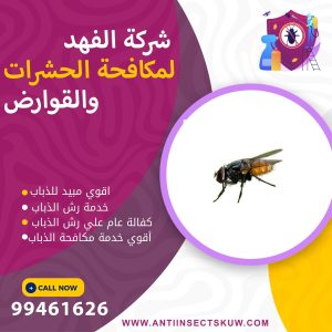 شركة مكافحة الذباب بالكويت 