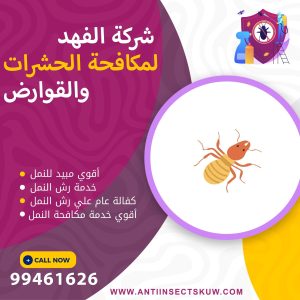 شركة مكافحة النمل بالكويت
