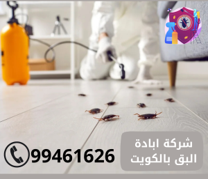  شركة ابادة البق بالكويت