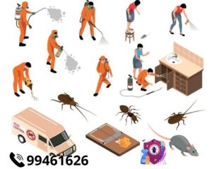 شركة مكافحه الحشرات بالكويت