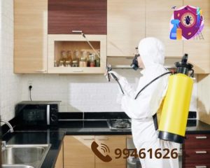 شركة مكافحه حشرات المطبخ بالكويت