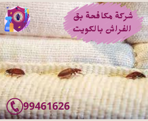 شركة مكافحة بق الفراش بالكويت