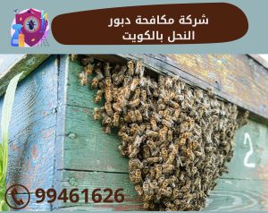 شركة مكافحة دبور النحل بالكويت
