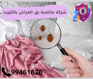 شركة مكافحة حشرة بق الفراش بالكويت ِ