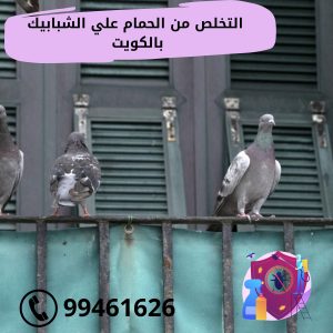 التخلص من الحمام علي الشبابيك بالكويت