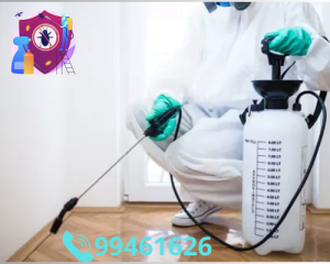 شركة مكافحة حشرات بالكويت