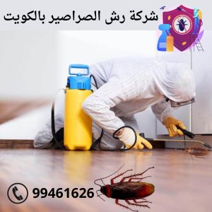 شركة رش الصراصير بالكويت