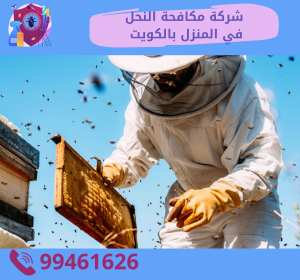 شركة مكافحة النحل بالمنزل بالكويت 