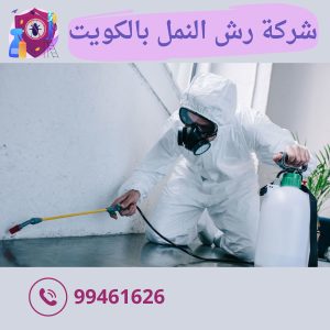 شركة رش النمل بالكويت