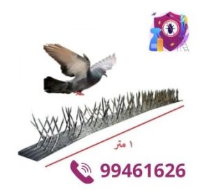 شركة طارد الحمام بالكويت
