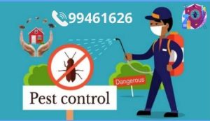 افضل شركة ابادة حشرات في الكويت