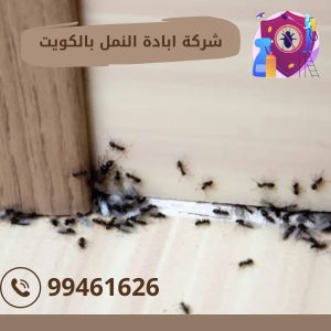 شركة ابادة النمل بالكويت