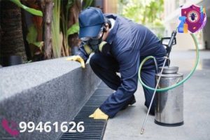 شركة رش حشرات الكويت