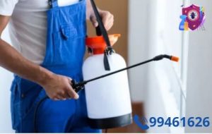  شركة مبيدات حشرية بالكويت