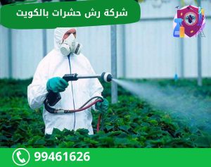 شركة رش حشرات بالكويت