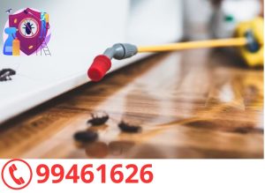 خدمة رش حشرات بالكويت