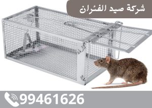 شركة صيد الفئران بالكويت