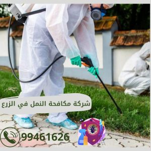 شركة مكافحه النمل في الزرع بالكويت