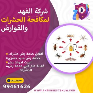شركة رش الحشرات بالكويت