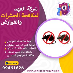 شركة مكافحة قوارض الاحمدي