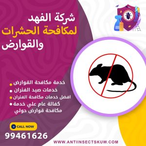 شركة مكافحة قوارض حولي