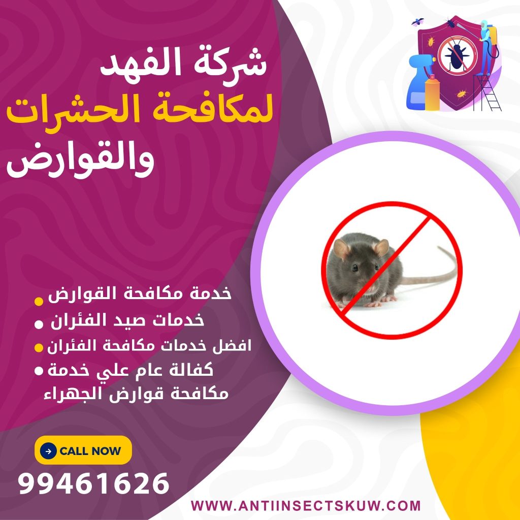 شركة مكافحة قوارض الجهراء