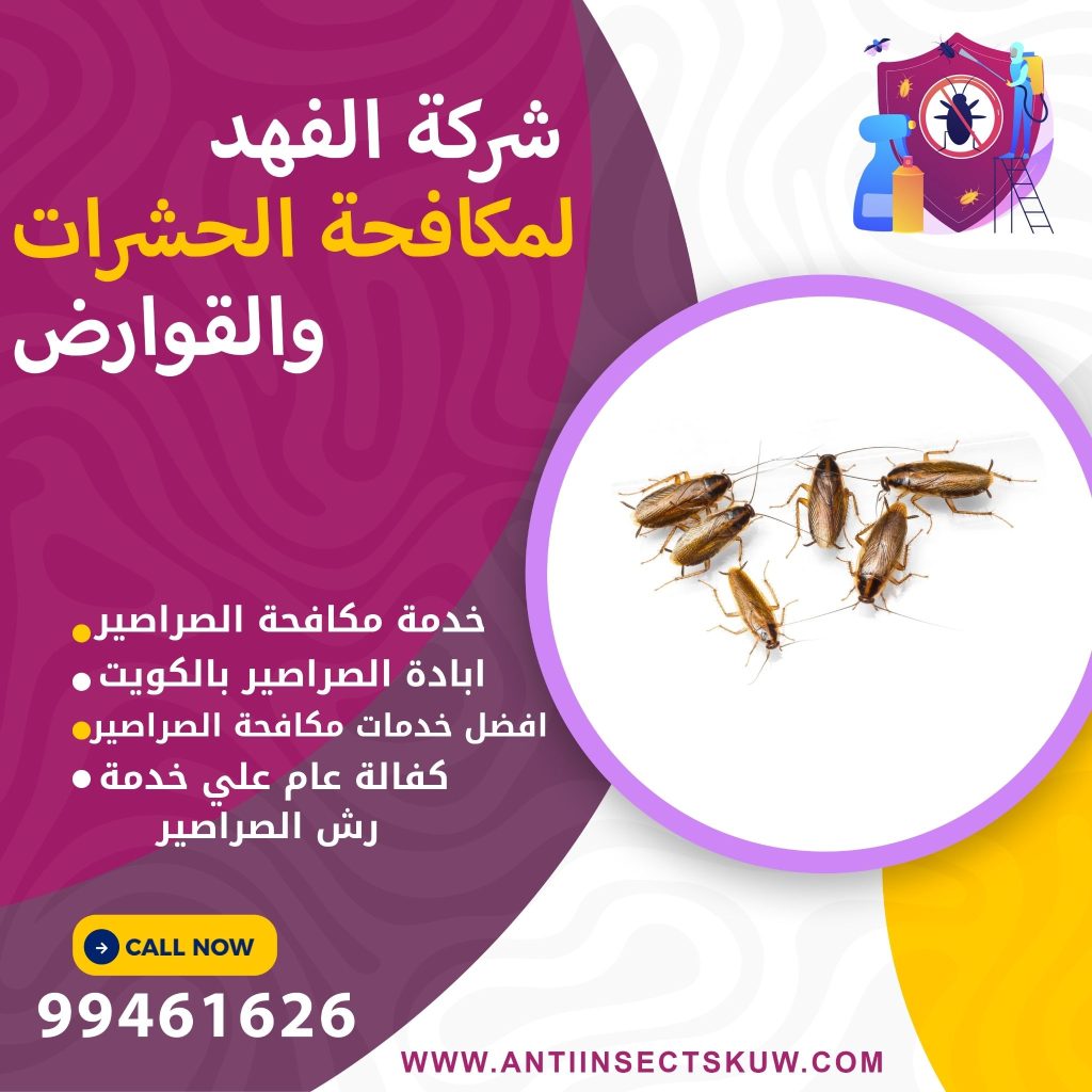 شركة مكافحة الصراصير بالكويت