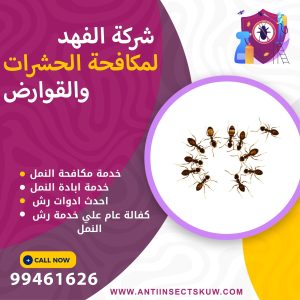 شركة مكافحة النمل بالكويت 