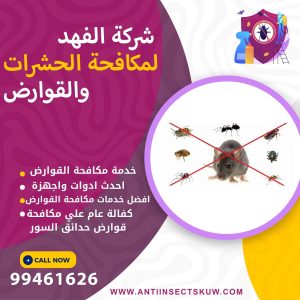 شركة مكافحة قوارض حدائق السور