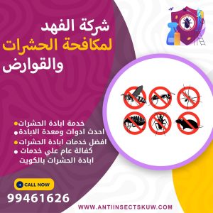 شركة ابادة الحشرات بالكويت
