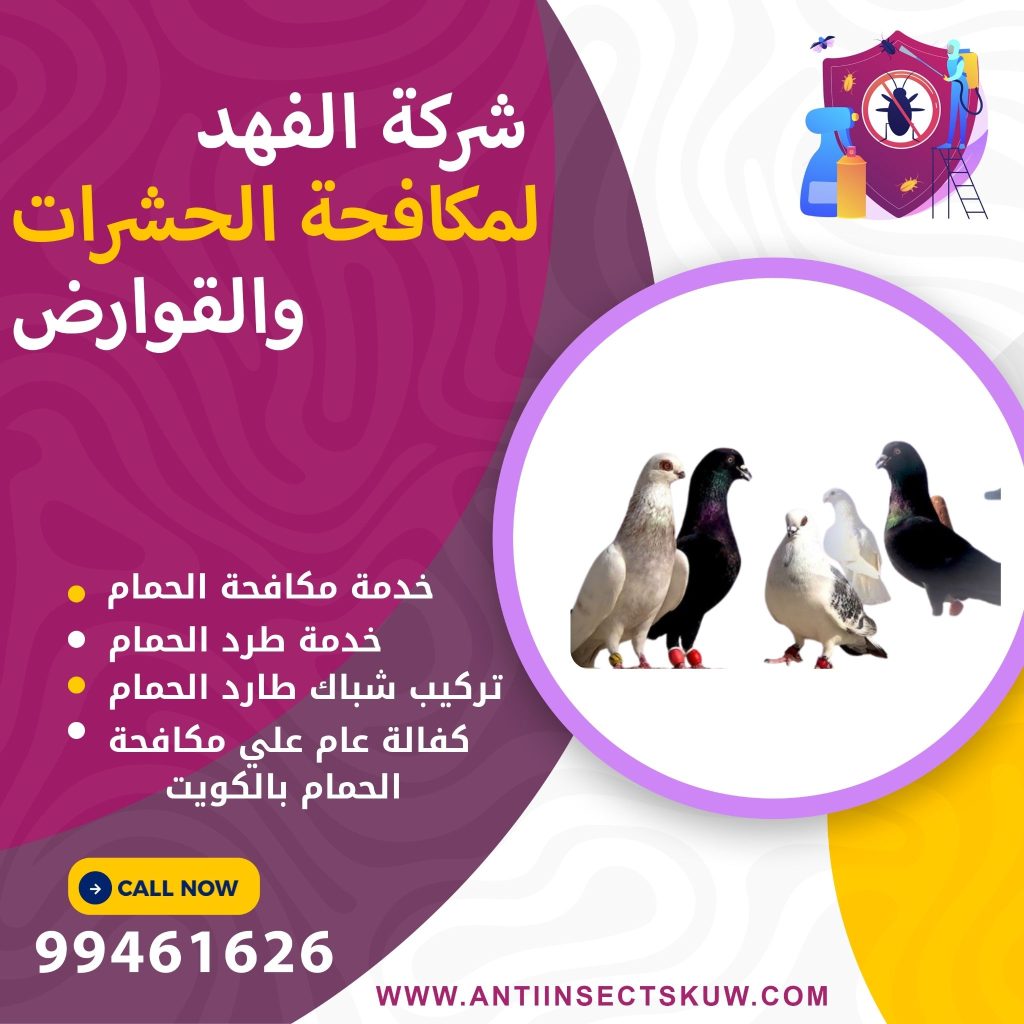 شركة مكافحة الحمام بالكويت