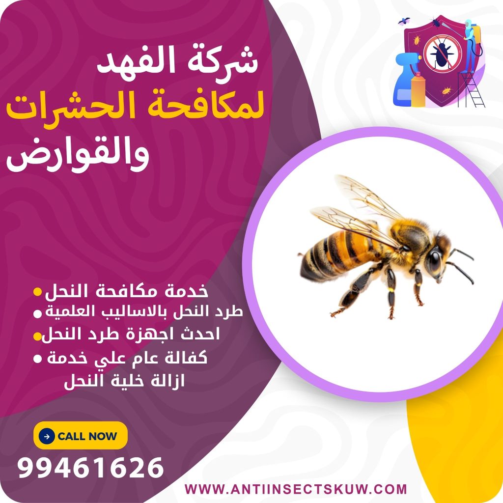 شركة مكافحة النحل بالكويت