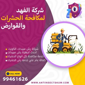 شركة رش مبيدات بالكويت