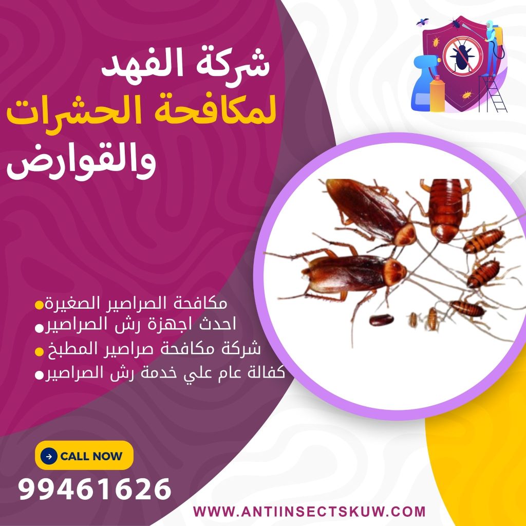 شركة مكافحة الصراصير الصغيرة بالكويت