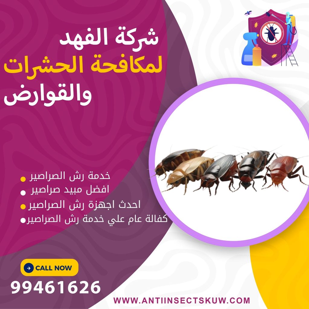 شركة رش الصراصير بالكويت
