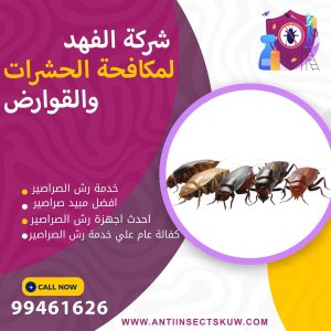 شركة رش الصراصير بالكويت