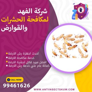شركة مكافحة الارضة بالكويت