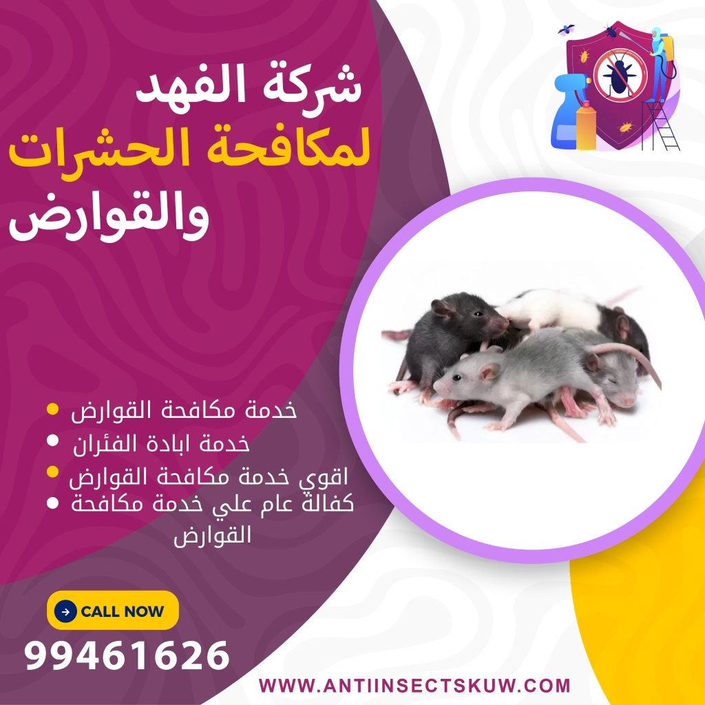 شركة مكافحة القوارض بالكويت