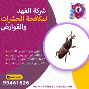 شركة مكافحة سوس الخشب بالكويت