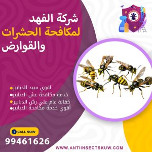 شركة مكافحة الدبابير بالكويت