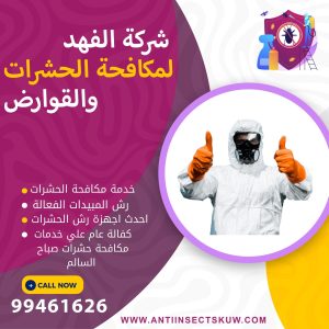 شركة مكافحة حشرات صباح السالم
